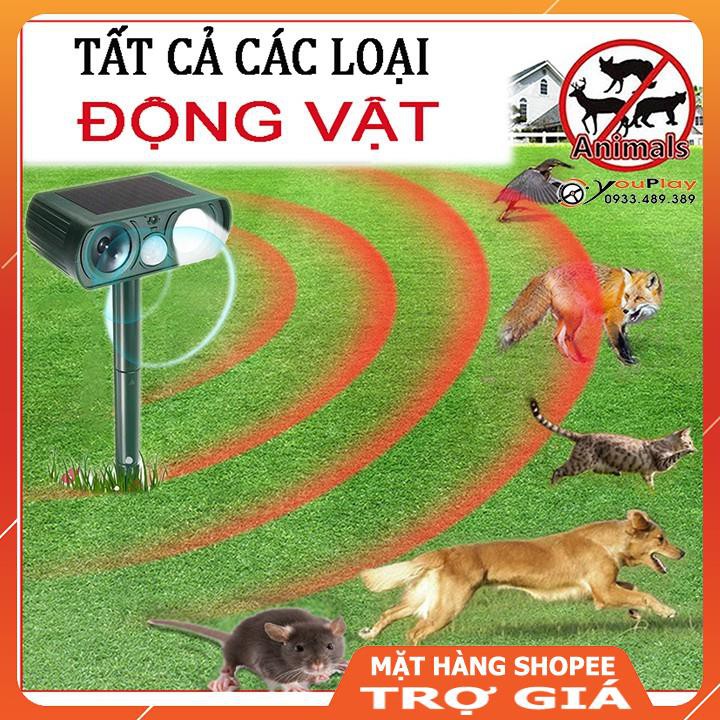 [ROBOT ĐUỔI CHUỘT] Máy đuổi chuột AMB A1 - Thiết bị đuổi chuột bằng công nghệ hồng ngoại