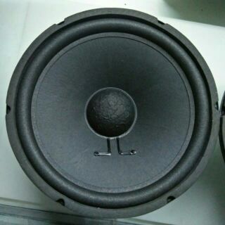 Loa rời bass 30 từ kép 2 loa y hình