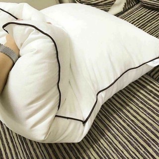 Ruột Gối Hitton ( 2 chiếc )