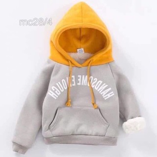 Áo nỉ lót lông