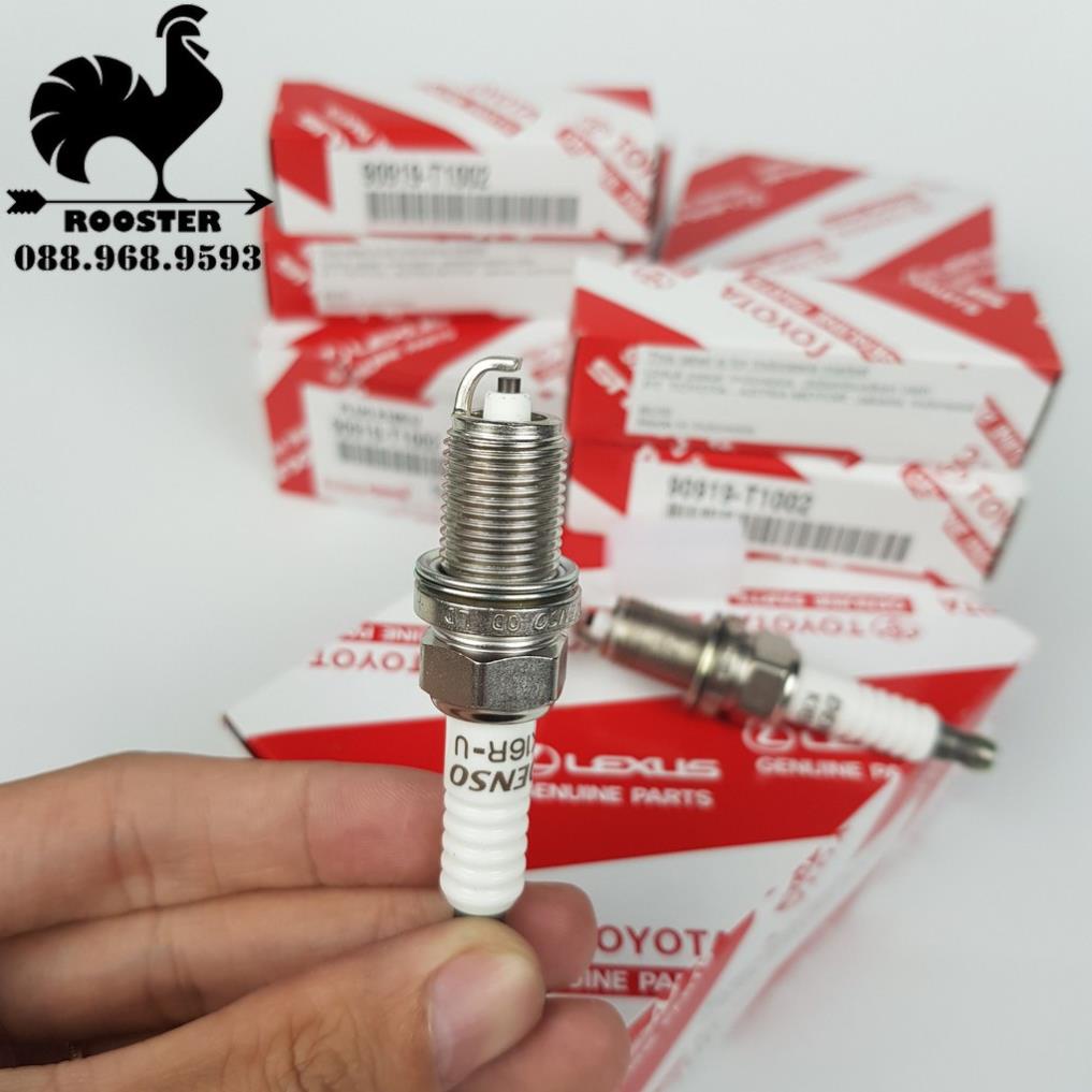 Bugi/Buri xe Vios, Yaris