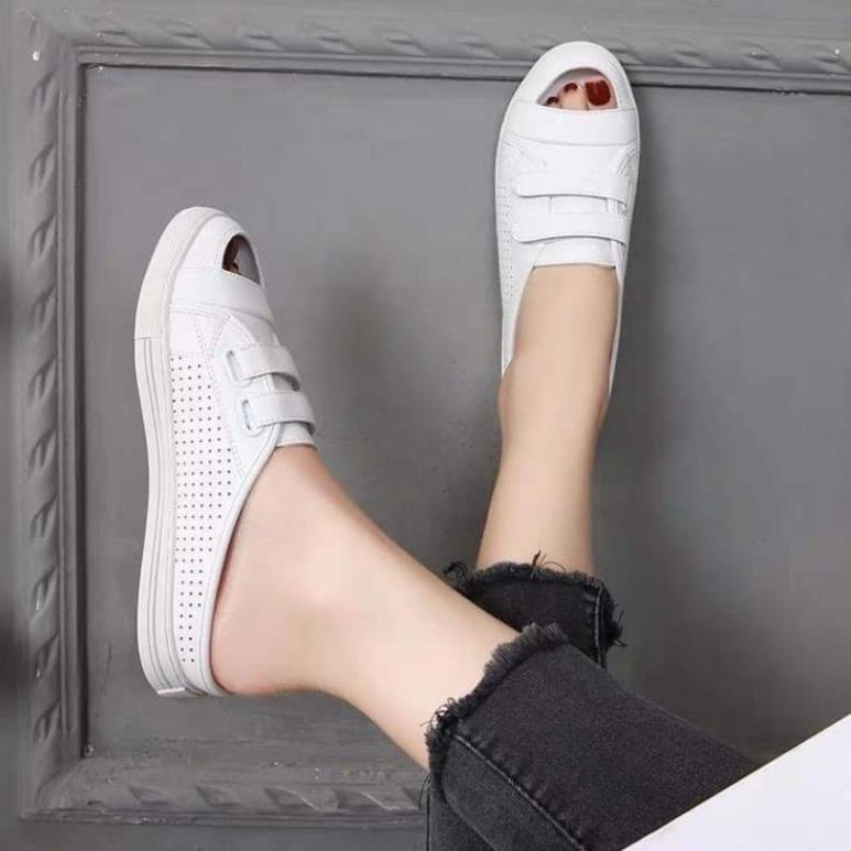 sục thể thao bigsize