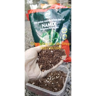 Đất trồng xương rồng, sen đá Namix Succulents Potting Mix
