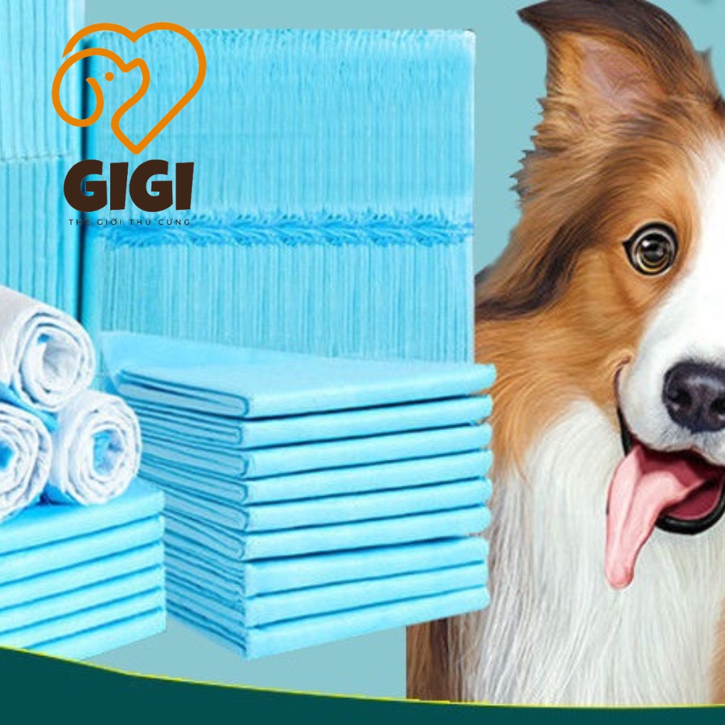 Tã lót chuồng cho thú cưng đi vệ sinh vào khay siêu thấm hút màu xanh size S M L phụ kiện chó mèo giá rẻ - GiGi Pet Shop