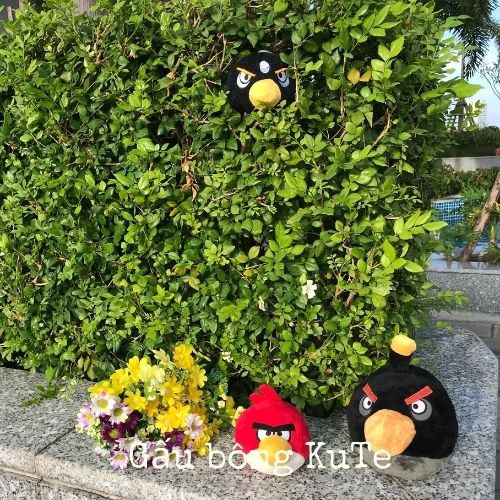 Gấu bông - Angry bird móc khóa