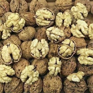 SIÊU RẺ ÓC CHÓ NẾP 500GR