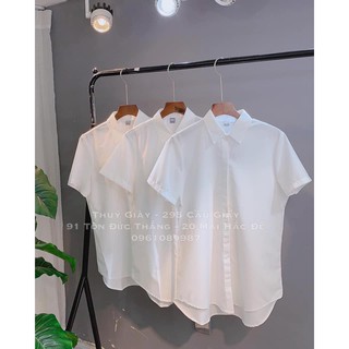 sơ mi uni cộc tay
