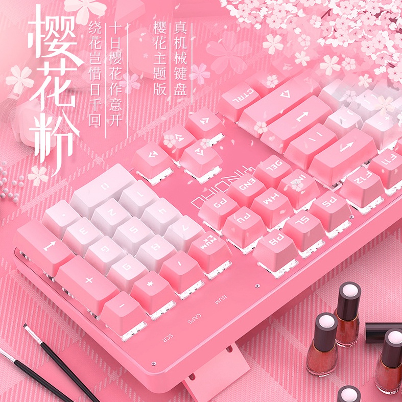 Bàn phím máy tính, bàn phím cơ CAO CÁP HỒNG PRO T900 LED 10 Chế Độ, Phím Cơ Blue Gaming Máy Tính, Laptop, PC