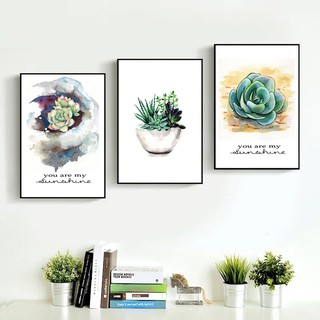 Tranh Tráng Gương khung COMPOZIT 40x60cm x 3 tranh - Hoa sen đá