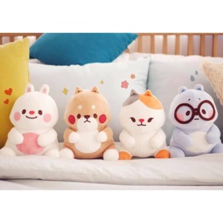 CB gấu bông hằng