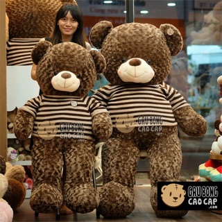 Gấu bông teddy 1m7