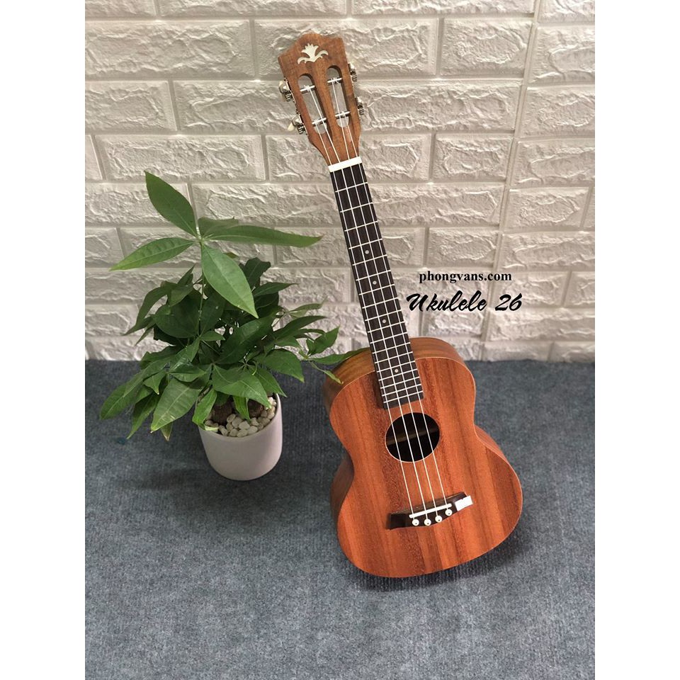 Đàn ukulele gỗ 26 đẹp giá rẻ