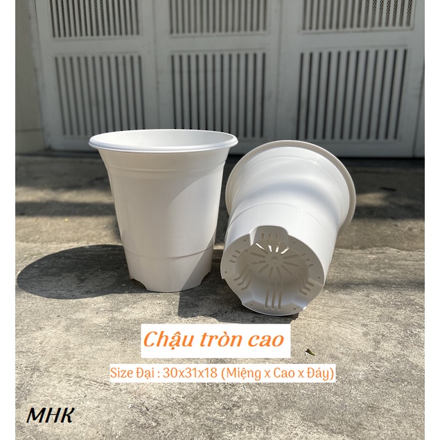 [MỚI] Chậu tròn cao size Đại (30x31x18) , nhựa cứng màu trắng !