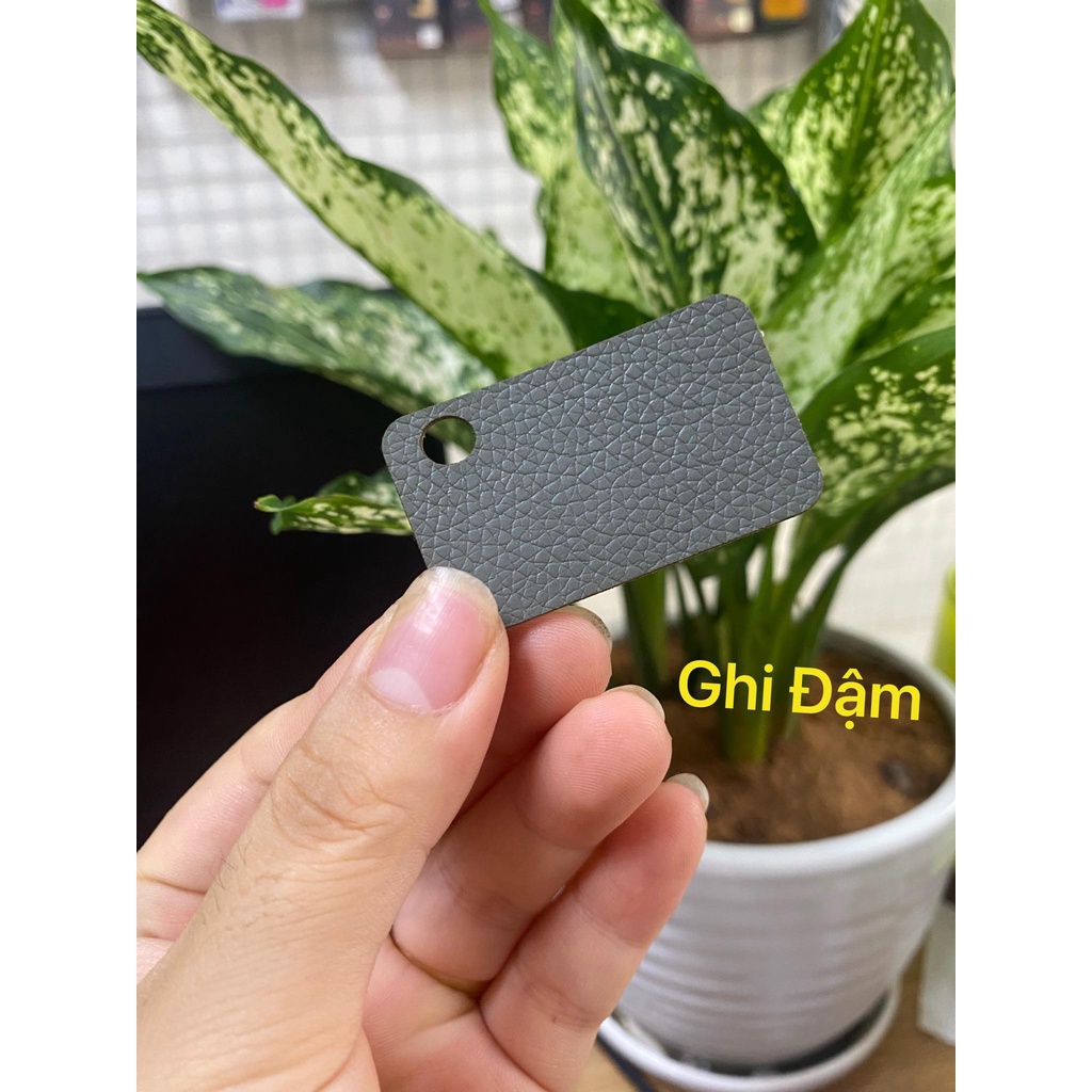 Dán da lưng ĐT Blackberry Q10 trơn không các màu