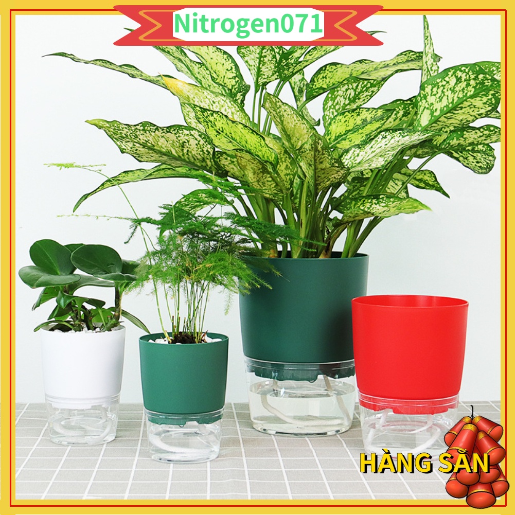 Nitrogen071 Lọ hoa nhựa tự tưới nước trong suốt ánh sáng có thể tháo rời hai lớp cho ban công