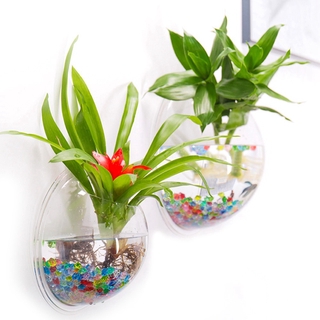 Nhwh Treo Tường Cá Cá Cá Vàng Bể Cá Treo Nồi Bát Bong Bóng DIY Trang Trí