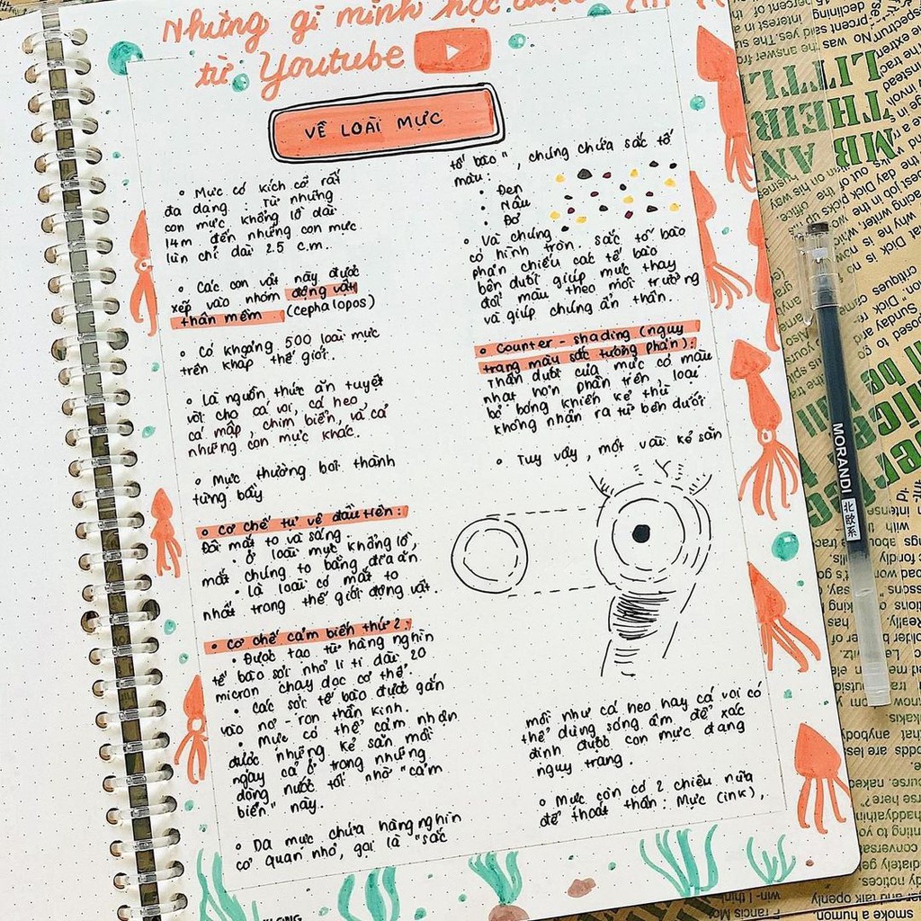 Sổ Dotgrid KLONG Binder B5 120gsm CÒNG NHỰA 26 LỖ giấy dày không lem nhoè hàng chính hãng 100%