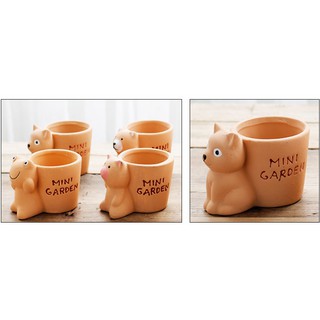 Chậu trồng cây mini