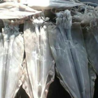 Khô mực ghe nhà