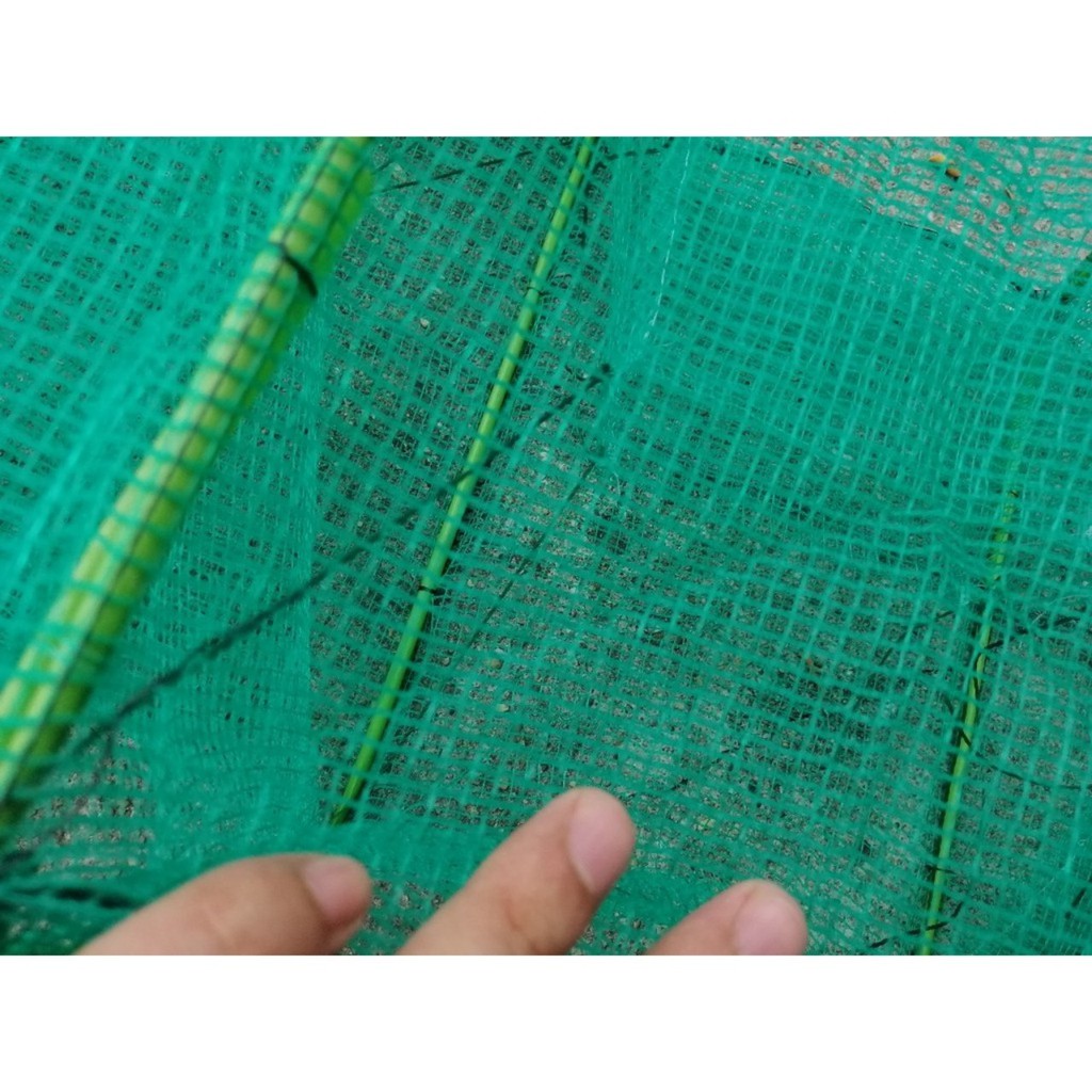 lưới lồng bát quái (