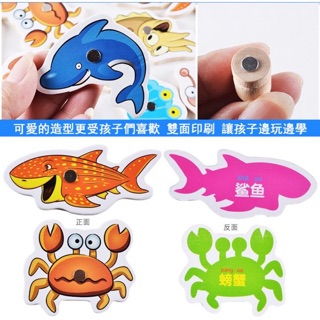 Bộ câu cá nam châm gỗ 32 con