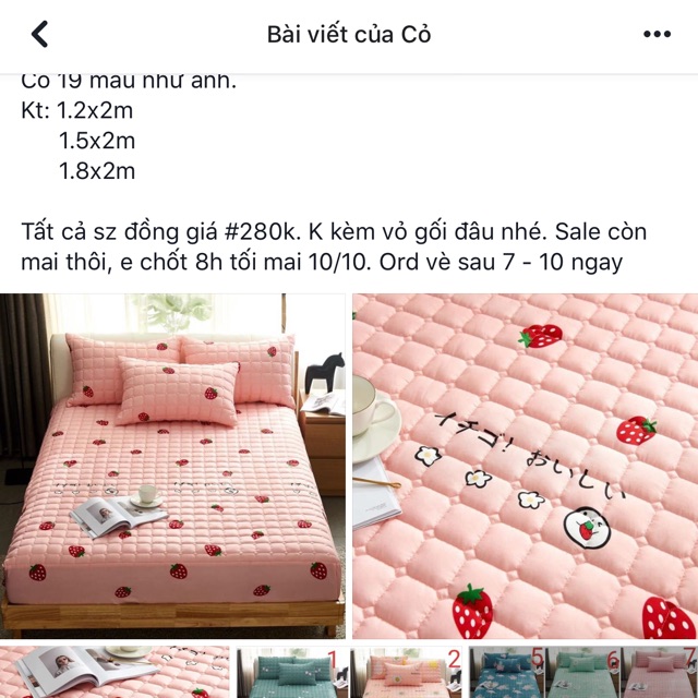 Bộ ga chống thấm cotton