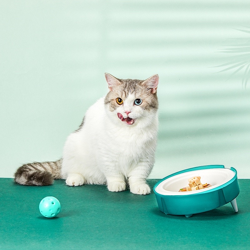 Bát ăn Petkit chống gù lưng đựng thức ăn tươi cho chó mèo có lõ chén thay