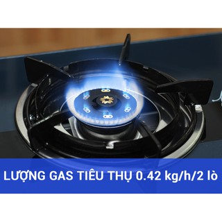 Bếp dương Sakura 690GH
