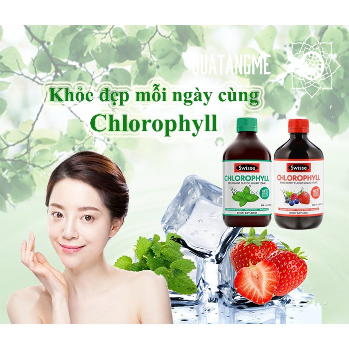Nước diệp lục swisse chlorophyll 500ml Úc giúp bổ máu, tăng hệ miễn dịch, nhanh lành vết thương Healthy care quatangme