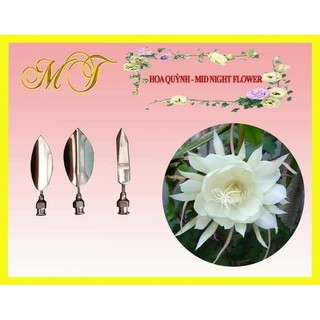 SET 3 KIM TẠO HÌNH THẠCH 3D HOA QUỲNH