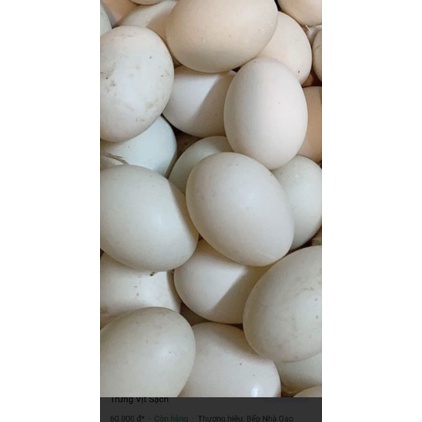 Trứng vịt lộn ( 60K/ 10 TRỨNG)
