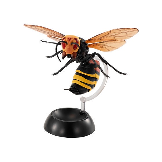 Mô hình trứng Gashapon Ong vò vẽ - Wasp - Hornet - Côn trùng