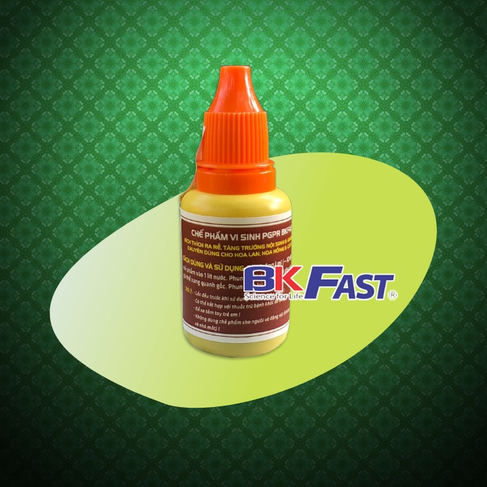 01 Lọ Chế Phẩm Vi Sinh PGPR BKFAST - Kích Rễ, Tăng Cường Đề Kháng, Tăng Trưởng Nội Sinh Cho Cây Trồng (ĐH Bách khoa HN)