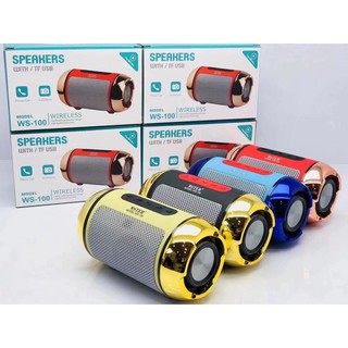 Loa Bluetooth WS100