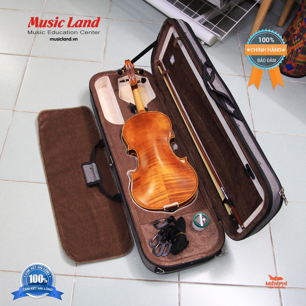 Đàn Violin Amati VF300 – Chính Hãng