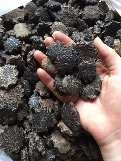 ✅Hạt Gấc Khô (Mộc miết tử) loại tốt 1kg - có video | BigBuy360 - bigbuy360.vn