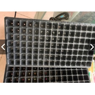 Khay ươm hạt giống các loại