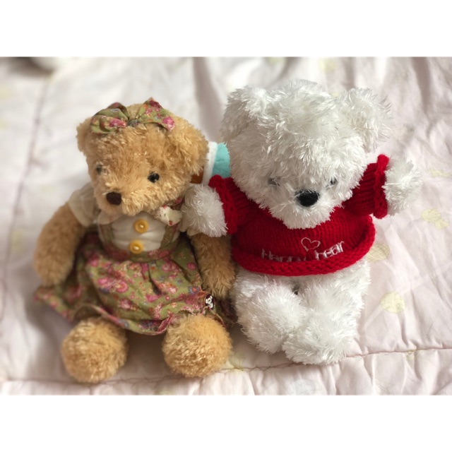 sét gấu teddy mini chính hãng