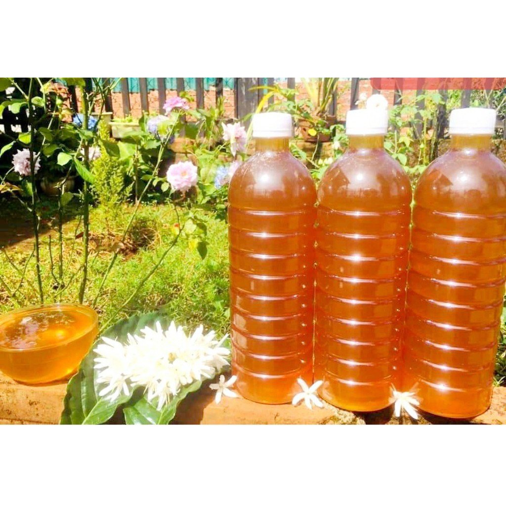 Mật ong rừng nguyên chất Nut Store 330ml