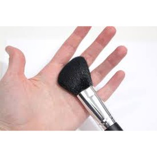 Cọ má Coastal scents BR-C-25