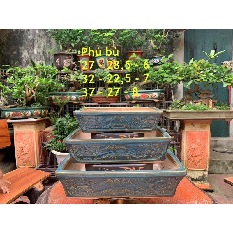 3 chậu chữ nhật = 269k  - Chậu trồng cây bonsai - chậu trồng sen đá - chậu cảnh bonsai
