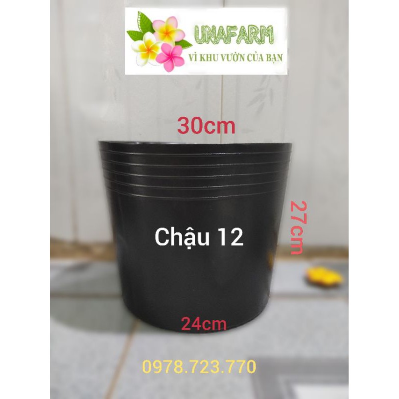 Chậu nhựa đen mềm size 12