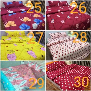 Sét Chăn phao poly 5 món KT 1m2 1m6 1m8 x 2m,2m2