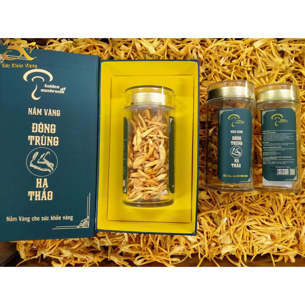 Đông Trùng Hạ Thảo Sấy Thăng Hoa Nấm Vàng
