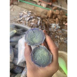 Tinh bột nghệ đen