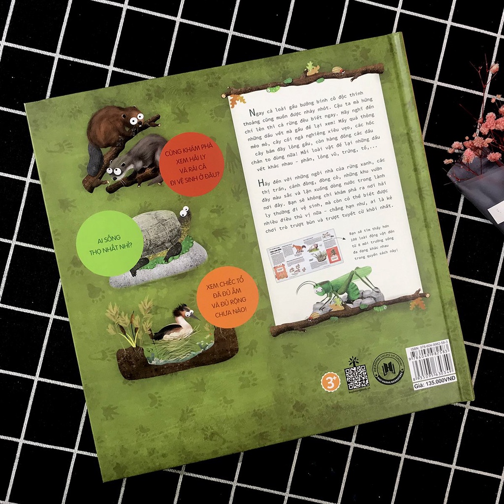 Sách - Hải Ly &quot;Giải Quyết Nỗi Buồn&quot; Ở Đâu? - Dấu vết để lại của động vật