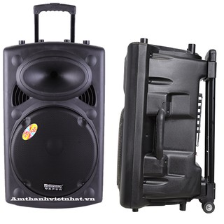 Loa kéo di động Temeisheng DP 131 giá rẻ - Loa hát karaoke nghe nhạc cực hay