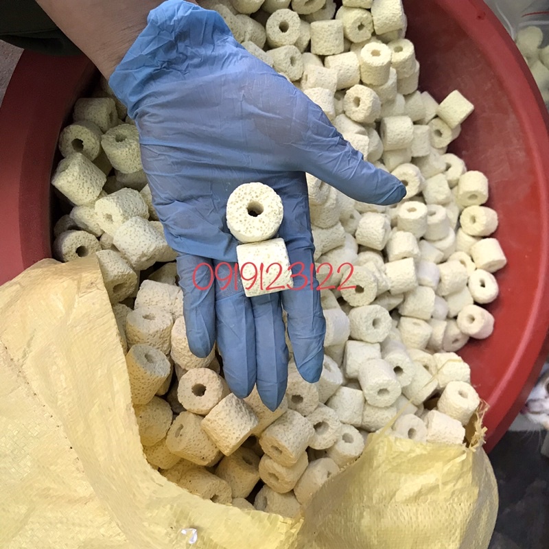 Sứ nhẫn vàng - sứ lọc bể cá gói 500gr