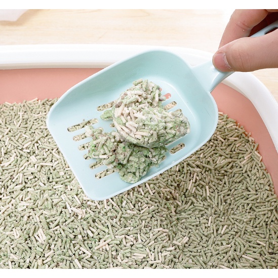 Xẻng xúc cát Size Đại vệ sinh mèo - xẻng hốt cát dọn vệ sinh phân cho mèo