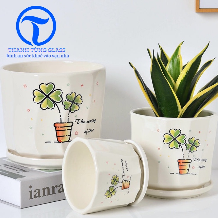 Chậu sứ trồng cây kèm đĩa hứng nước, trồng cây để bàn,